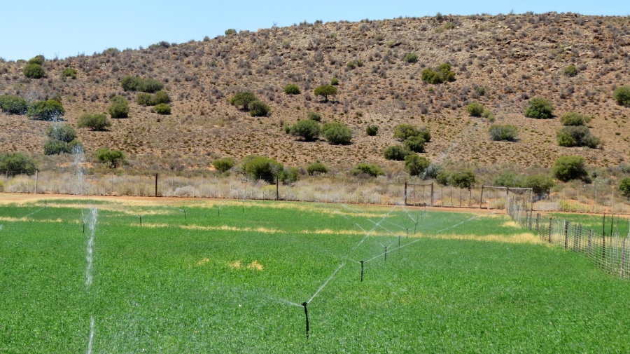 Commercial Property for Sale in Swellendam Rural Western Cape